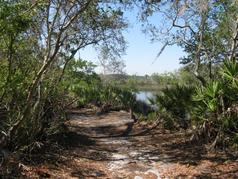 Picture of Dutton Island Park and Preserve (expansion)