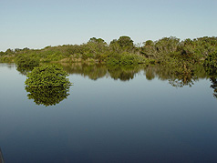 Picture of Amberjack Environmental Park