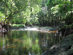 Picture of Blackwater Creek Preserve