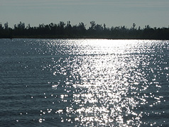 Picture of Lost Tree Islands Conservation Area