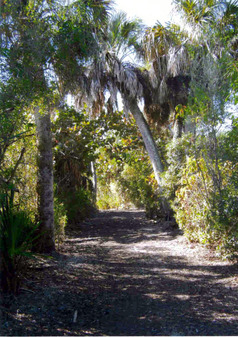 Picture of Gulfside City Park 