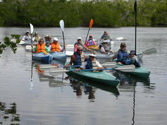 Picture of San Carlos Bay Bunche Beach Preserve