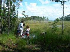 Picture of Lake Lizzie Preserve