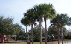 Picture of Bayside Park