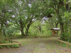 Picture of Sweetwater Hammock Preserve