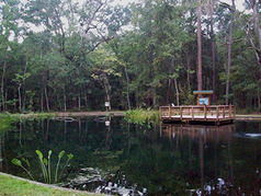 Picture of Camp Chowenwaw Park