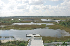 Picture of Chapel Trail Nature Preserve