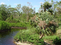 Picture of Limestone Creek Natural Area