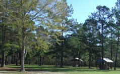 Picture of Sam Atkins Park Addition