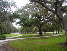 Picture of Bayview Park