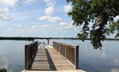 Picture of Indian River Lagoon Preserve