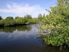 Picture of Curry Creek Preserve