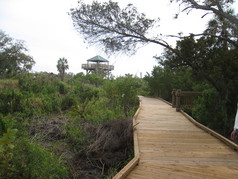 Picture of Neal Preserve