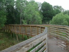 Picture of New Tampa Nature Park