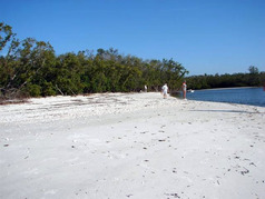 Picture of Barefoot Beach 
