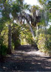 Picture of Gulfside City Park 