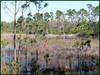 Picture of Haney Creek