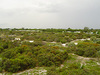 Picture of Hypoluxo Scrub Natural Area 