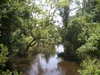 Picture of Egans Creek Greenway