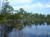 Picture of Hungryland Slough Natural Area
