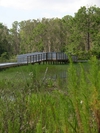 Picture of Prairie Pines Preserve