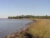 Picture of Reddie Point Preserve