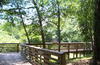 Picture of Joe Henry Anderson Park