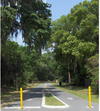 Picture of Magnolia Trail