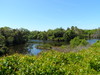 Picture of Cypress Bend Community Preserve aka Russell Grove