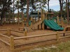 Picture of Coontie Hatchee Park