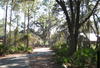 Picture of Palm Coast Greenway aka Linear Park